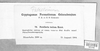 Image Associated With the Occurence